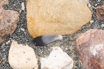 Bird feather on stone pavement background concept. © SDPhotography
