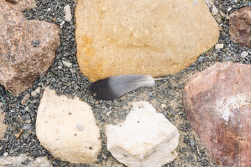 Bird feather on stone pavement background concept. © SDPhotography