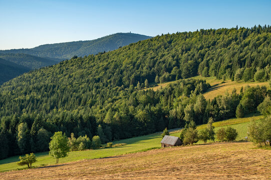 w beskidzie wyspowym