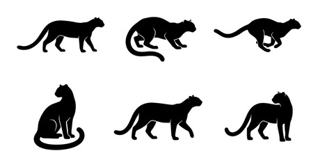 Obraz premium Big Cat Silhouettes Vector Set: Panther, Jaguar, Leopard Poses, Wildlife Icons, Black Animal Graphics