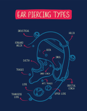 Educational Hand drawn Ear-Piercing Types Anatomy Diagram Illustration Chart