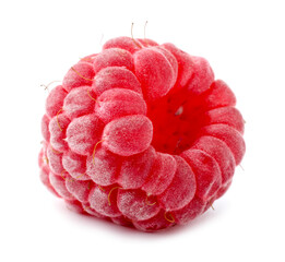 One fresh ripe raspberry isolated on white © New Africa