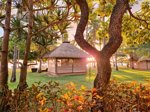 Tropical Resort Garden at Sunset in Mauritius
