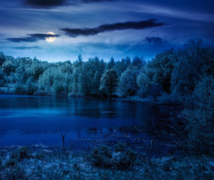 landscape by the lake at night. full moon over deciduous forest near the glacial lake. mysterious view of fantasy forest of carpathian mountains in spring. dark sky. hiking and tourism background