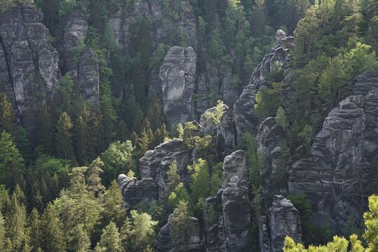 Rocks near the Bastei Bridge, Elbe Sandstone Mountains Saxon Switzerland National Park, Saxony, Germany