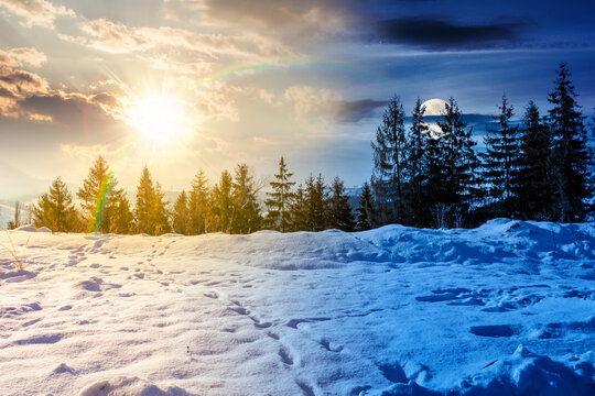 carpathian mountain landscape on winter solstice. day meet night. sun and moon over spruce forest on the snow covered hill. mountain scenery of ukraine on a cold weather. transcarpathia region