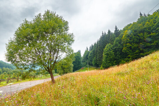 rural landscape. fence near road through field and forest to the high mountains. countryside scenery of ukraine in summer with overcast sky