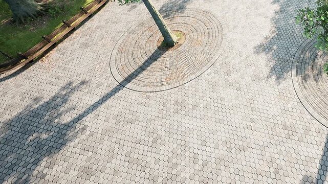 In a public park, sunlight casts long shadows of trees onto a patterned pavement. The ground features hexagonal stones arranged neatly. It is daytime and the area is open.