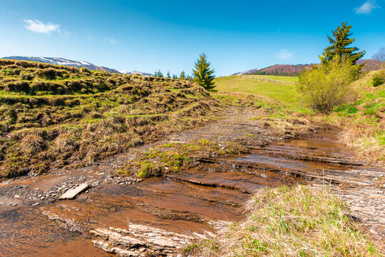 rural scenery in carpathian mountains of ukraine. simple view of a countryside mountain landscape during sunny forenoon in springtime. brook near the grassy hills. peaceful vacation in highland