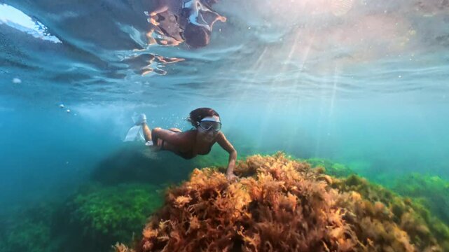 Underwater swimming, a woman wearing goggles and fins glides over a green reef in clear ocean water. Tracking shot.