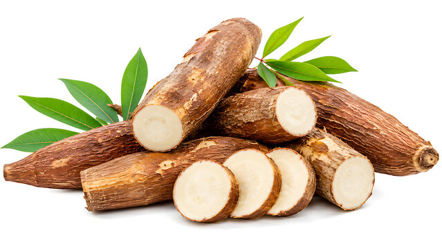 Fresh raw cassava roots whole and sliced with green leaves isolated on a white background