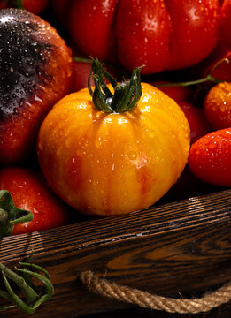 Fresh heirloom tomatoes with water drops in wooden crate