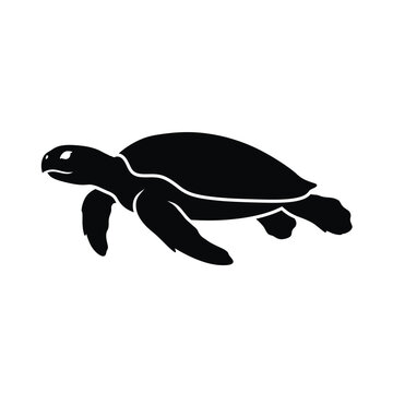 silhouette black and whit tortoise vector