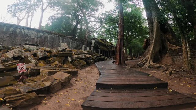Ancient Temple Ruins Beneath Trees at Angkor Wat, Cambodia