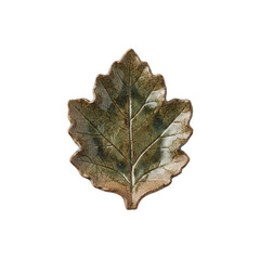 Fototapeta premium Green and brown ceramic leaf shaped dish or plate