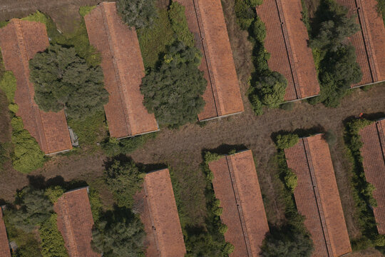 Aerial view of abandoned worker dormitories with terracotta roofs overgrown by trees and vegetation at an industrial facility in Portugal.