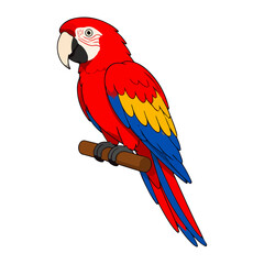Vibrant scarlet macaw parrot vector illustration for pet avian animal and tropical bird character © MS Graphics