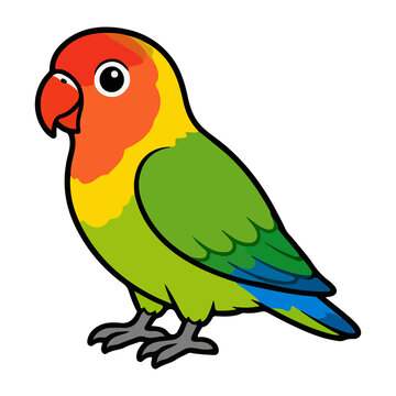 Cute Fischer's lovebird parrot vector illustration for pet avian animal and tropical bird character