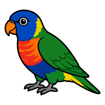 Colorful rainbow lorikeet parrot vector illustration for pet avian animal and tropical bird character
