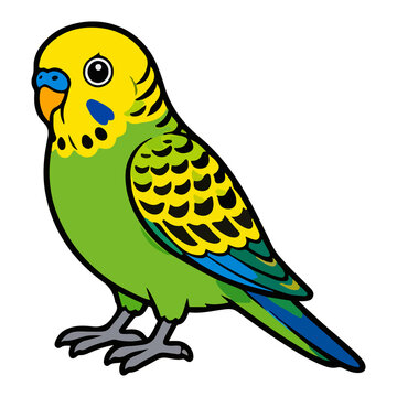 Cute green budgie parrot vector illustration for pet avian animal and tropical bird character