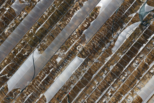 Aerial view of damaged agricultural greenhouses with torn plastic sheeting over metal frames in Portugal.