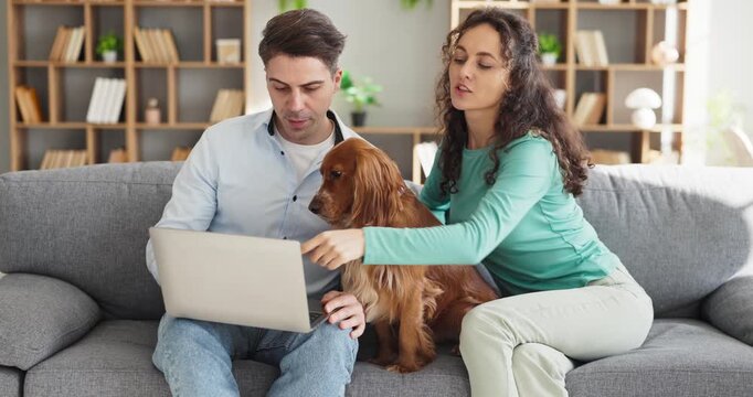 Couple with spaniel using laptop on couch. At home they sit together with their dog, browsing online, enjoying cozy indoors time and relaxed teamwork. Clear concept of home teamwork.