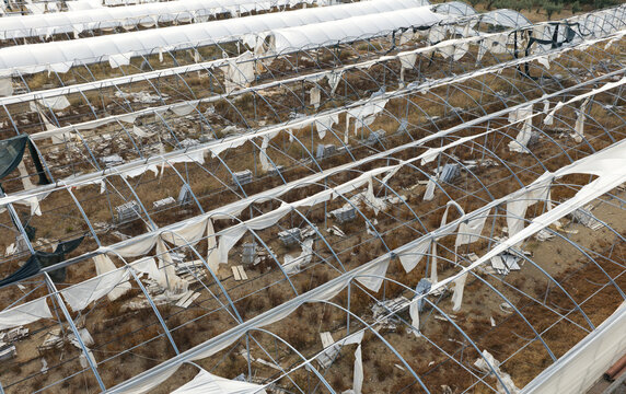 Aerial view of damaged greenhouses with torn plastic sheeting and exposed metal frames in a rural area in Portugal.