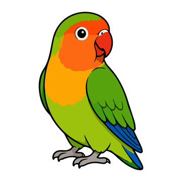Cute peach-faced lovebird parrot vector illustration for pet avian animal and tropical bird character