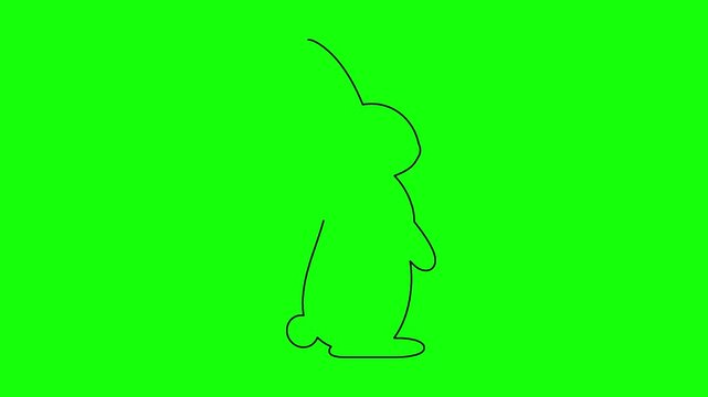 Rabbit outline drawing animation on green screen background for easter holiday concept decoration.