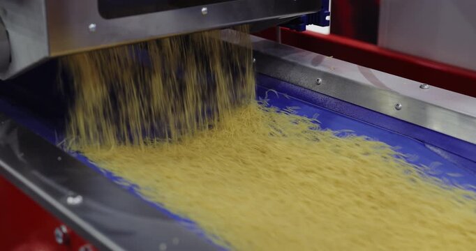 Industrial feeder releases filini pasta onto moving conveyor in modern food factory. Automated dosing system distributes product evenly for further processing