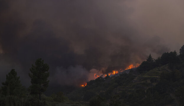 Torre de Moncorvo, Portugal - 20 August 2026: View of wildfire burning on a hillside with thick smoke and flames rising above the trees.