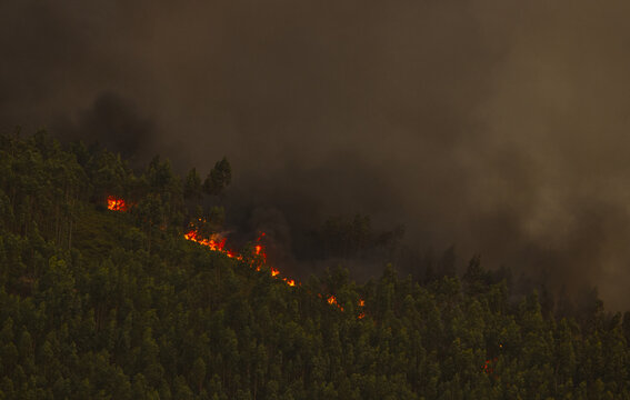Arouca, Aveiro District, Portugal - 20 August 2026: View of a forest fire burning through dense trees on a hillside, with thick dark smoke filling the sky.