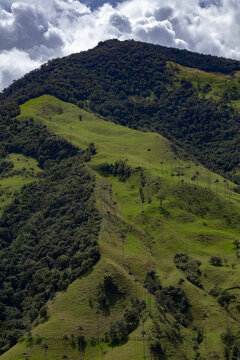 mountain landscape in the cocora valley