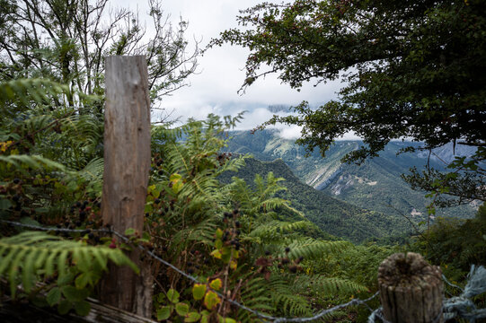 Fallen log framing a distant misty mountain range
