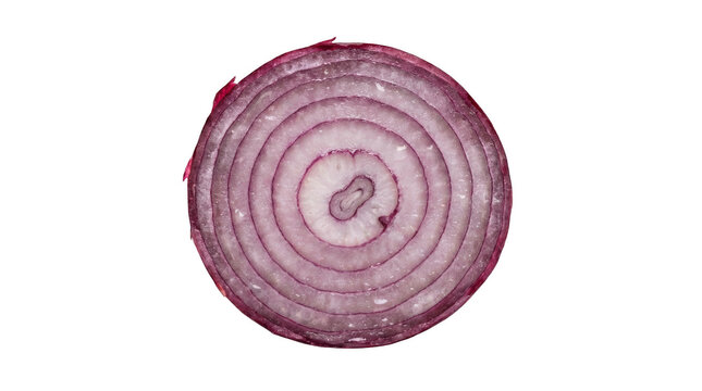 Fresh red onion cross section showing vivid layered rings and crisp texture for food and culinary design