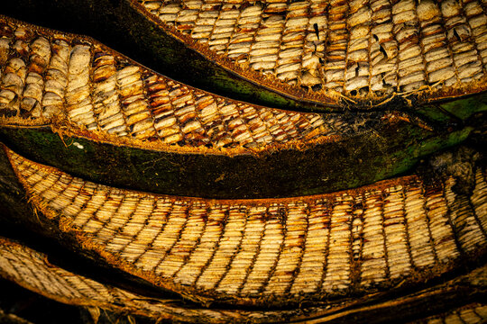 Wood texture