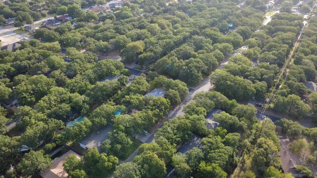 Verdant hardwood canopies envelope quiet residential properties west of Precinct Line Road. Secluded ranch houses, private swimming pools, paved streets reflect serene Mid Cities charm, Texas