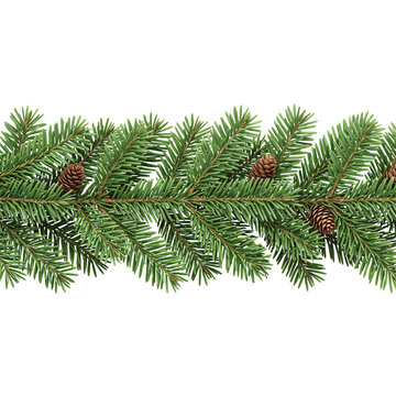 christmas border with pine branches