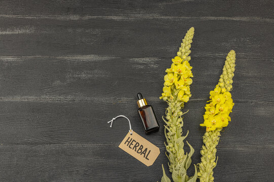 Fresh yellow Verbascum thapsus flowers on black background, symbol of herbal medicine