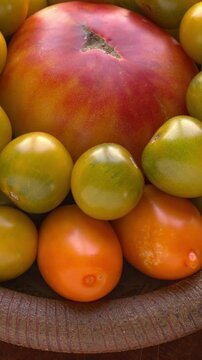 Close-up of Old German, Green Grape Cherry, and Orange Banana heirloom tomatoes rotating on a handmade dish, natural light, vertical video.