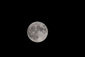 Fototapeta premium Detailed Full Moon Centered In Clear Night Sky