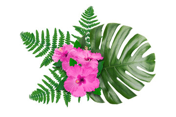 Pink hibiscus flowers and green leaves in tropical composition on white background © New Africa