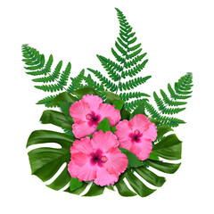 Pink hibiscus flowers and green leaves in tropical composition on white background © New Africa