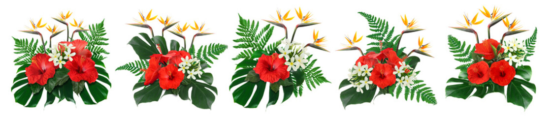 Floral compositions with hibiscus, strelitzia and plumeria flowers with green tropical leaves on white background, set © New Africa