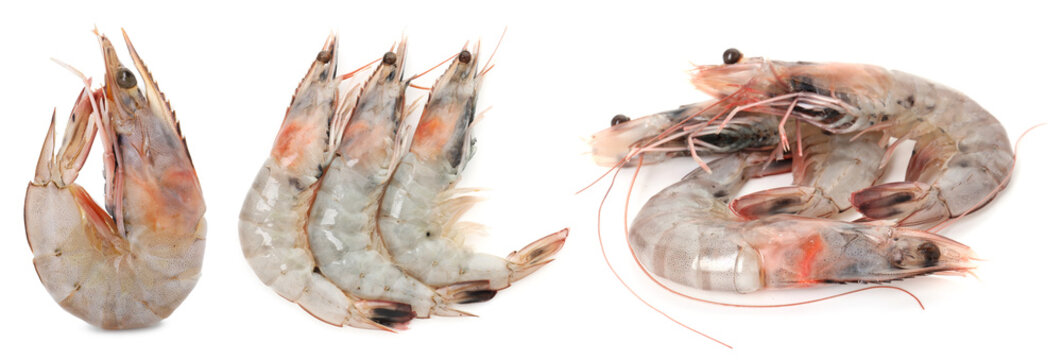 Fresh uncooked shrimps isolated on white, set. Seafood