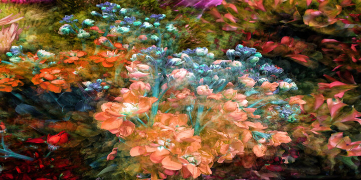 montage multiple exposure of colorful flowers in orange, turquoise, red, black