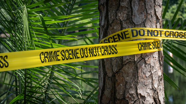 Tropical Crime Scene