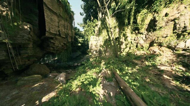 Sunlit ravine crossing via fallen log, mossy stones and leafy canopy creating sense of balance, risk and outdoor adventure for explorer subject