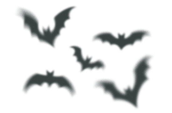 Halloween Bat Shadow Silhouettes. Spooky Black Bats Overlay Background. Vector Scary Blur Flying Vampires. Halloween Horror Illustration.
