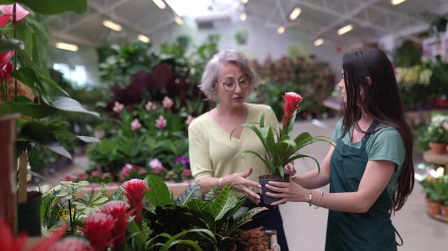 Female employee assisting senior customer in choosing plant at garden center